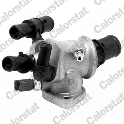 Thermostat, coolant